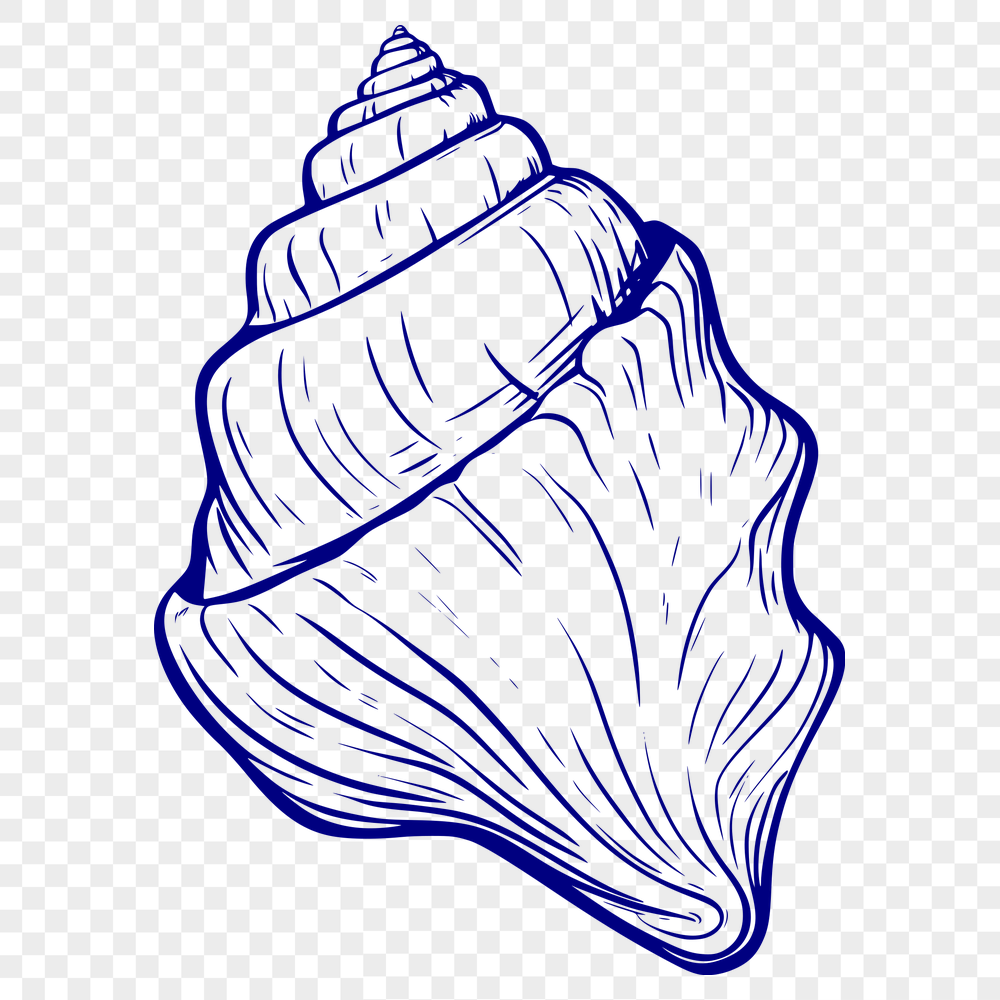 Creative Seashell In DXF Free Commercial Use Download