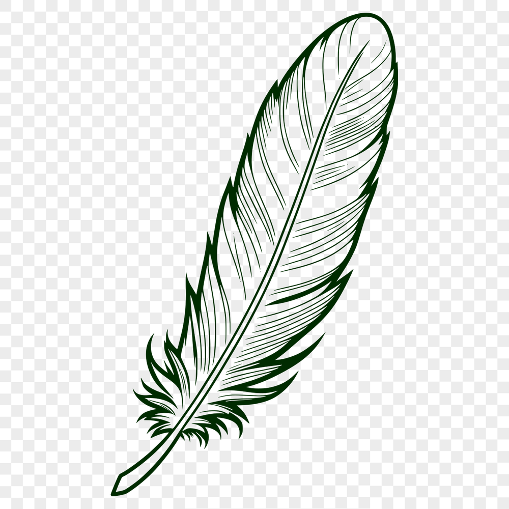 Beautiful Vector Feather Graphic A single feather illustration created in vector format.