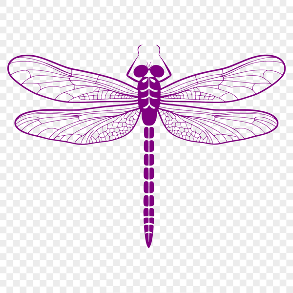 A vector illustration of a dragonfly in various colors with intricate details.
