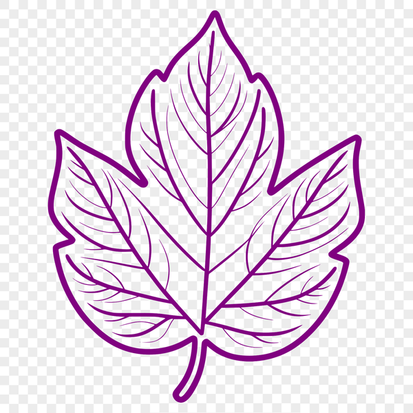 Beautiful Leaf SVG Illustration An isolated vector design of a leaf, suitable for digital applications and crafting projects.