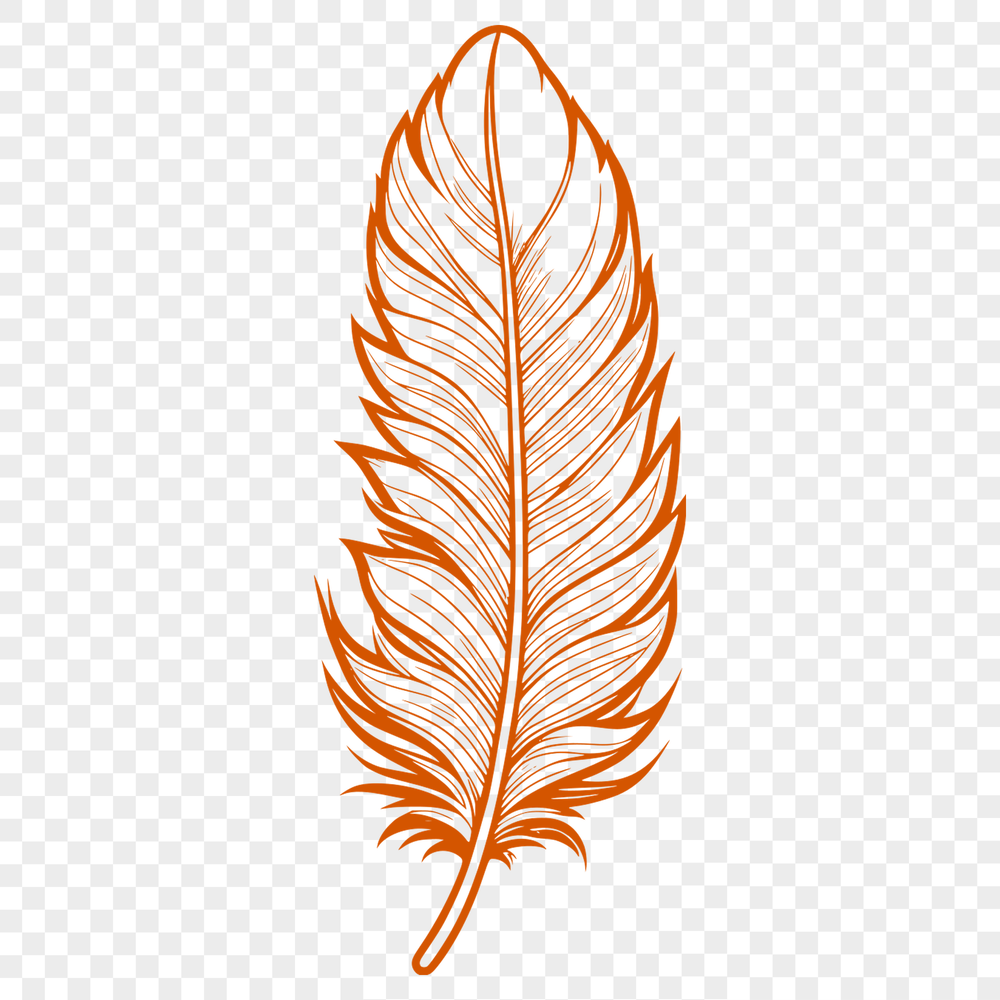 Free Vector Feather Design A simple, detailed illustration of a feather, suitable for digital design and vector graphics.