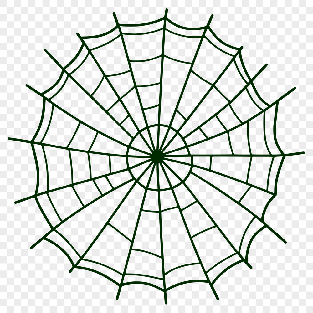 A detailed SVG graphic of a spider web with intricate patterns and lines.