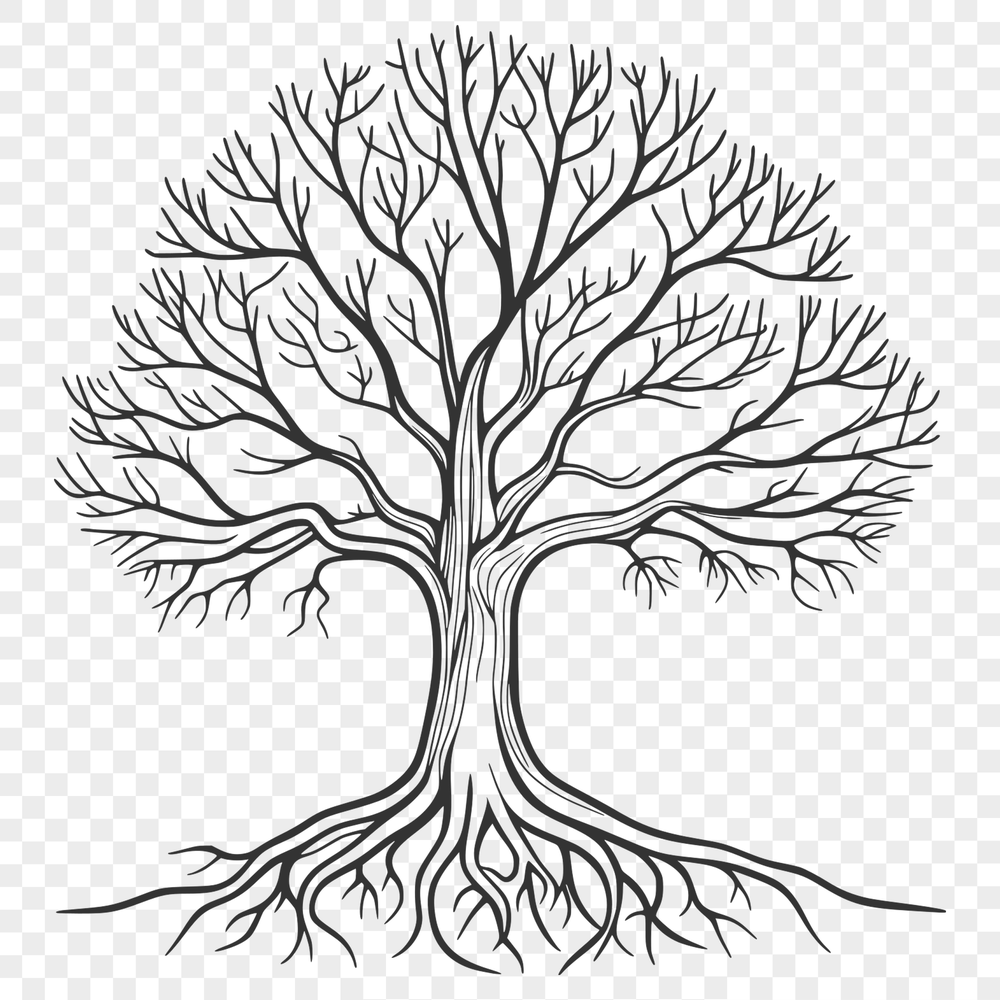 A detailed, scalable tree illustration suitable for vector graphics.