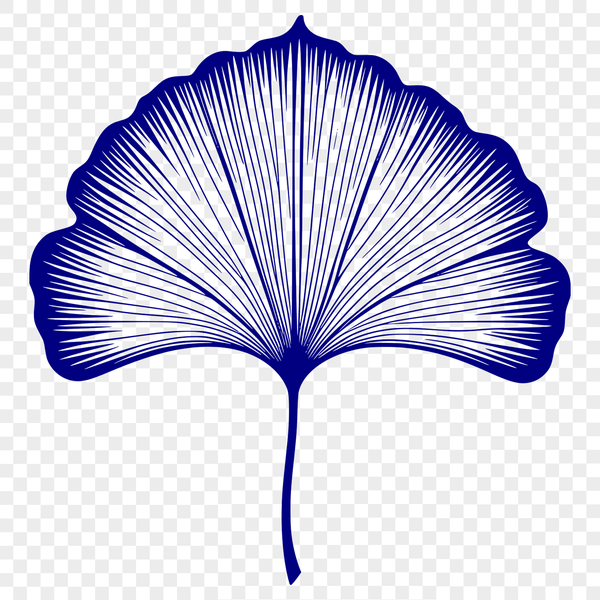Elegant Leaf Graphic A stylized leaf graphic created as a vector image in SVG format.