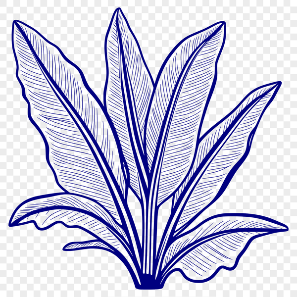 Intricate Leaf Clip Art Vector A single green leaf with intricate veins, ideal for vector design and cutting machine projects.