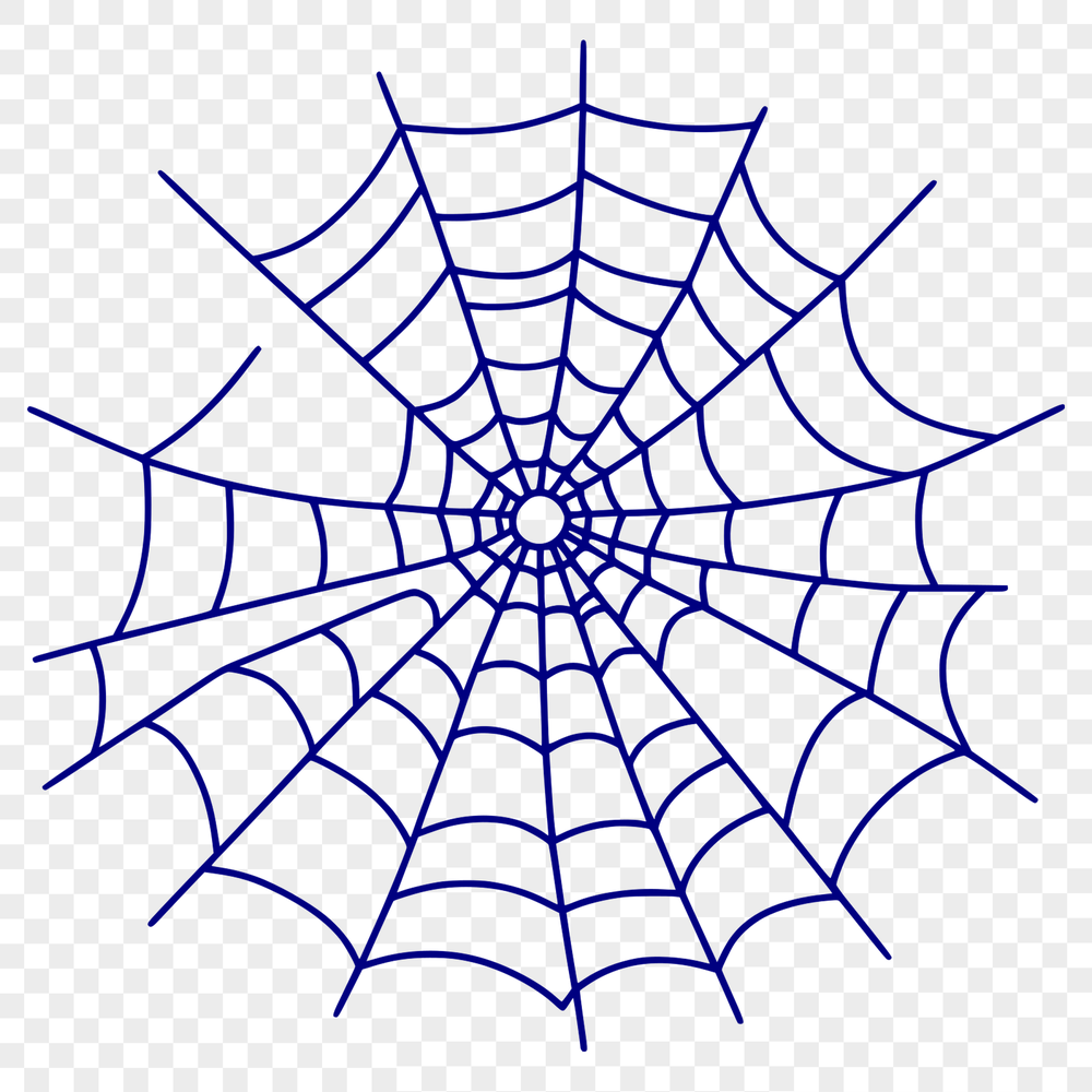 Intricate Vector Pattern Design A detailed illustration of a spider web made up of intricate patterns and lines.
