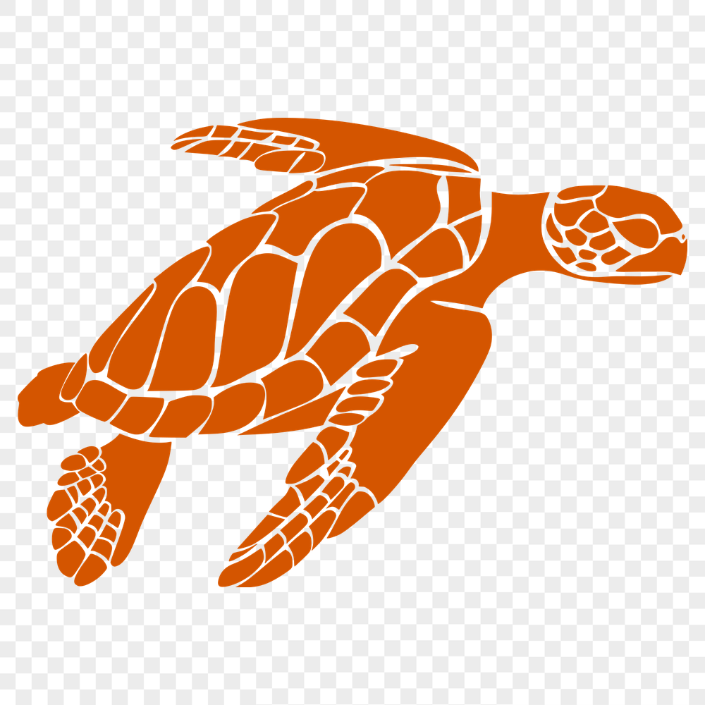 Creative Sea Turtle - Procreate SVG