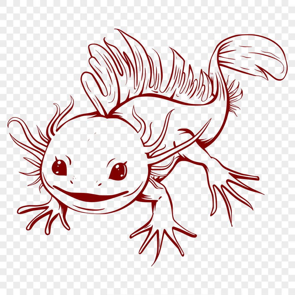 Beautiful Axolotl - For Procreate Project