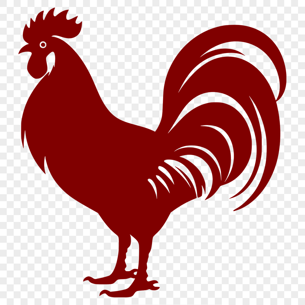 Stunning Rooster PNG