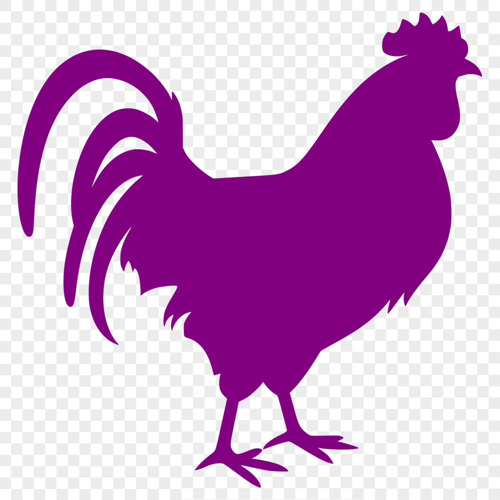 Free Creative Chicken Stencil