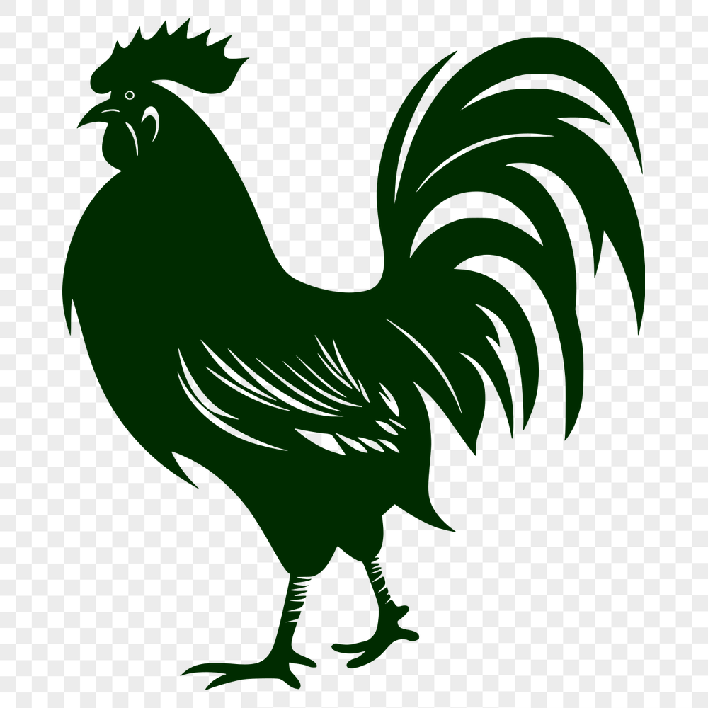 Unique Rooster Digital Artwork