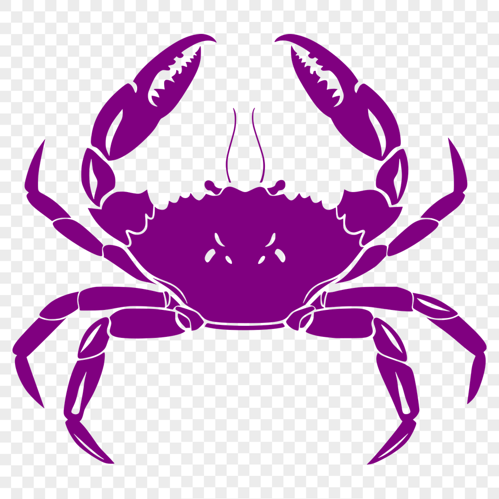 Free Unique Crab Digital Art