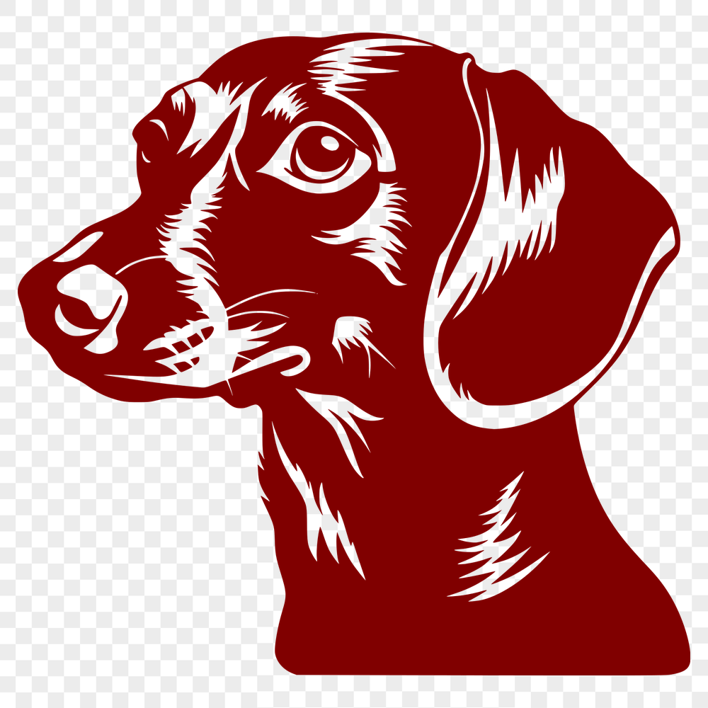 Free Free Dachshund Image