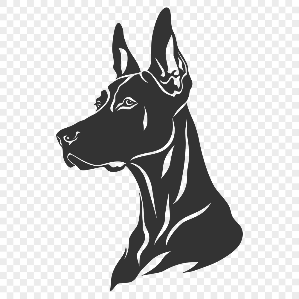 Stunning Doberman Pinscher In SVG