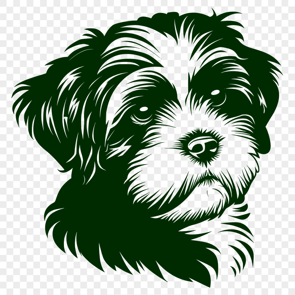 Free Unique Havanese Stencil