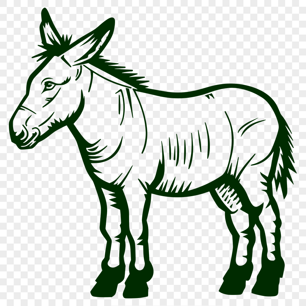 Creative Donkey SVG, PNG, PDF And DXF Files