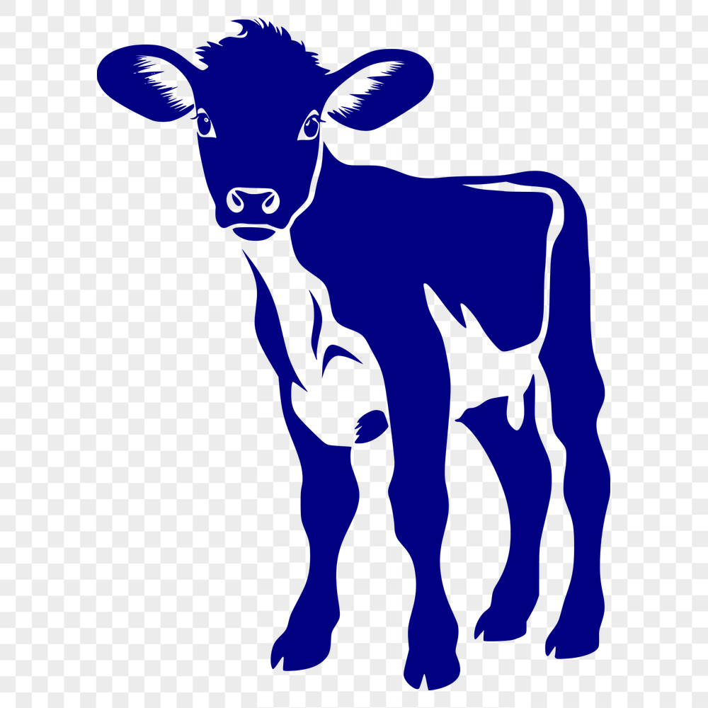 Cute Cow - For Farm Animal Project