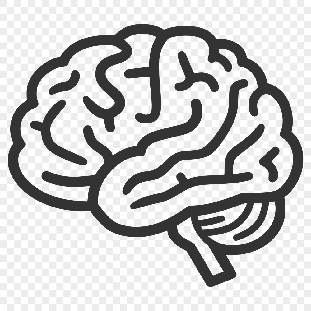 Beautiful Brain Vector Drawing