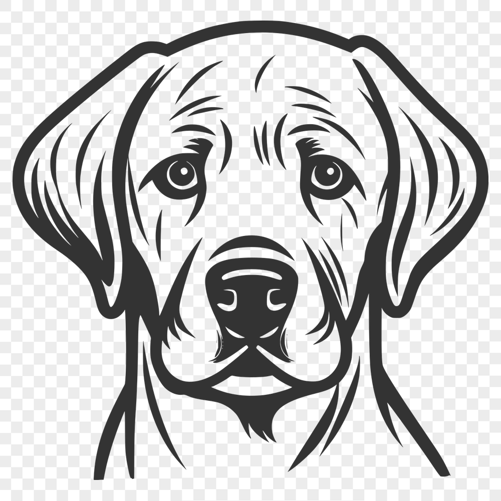 Creative Labrador Retriever PNG