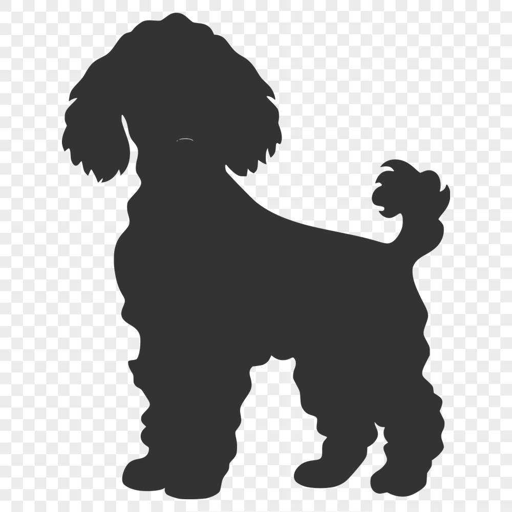 Free Unique Poodle Digital Artwork