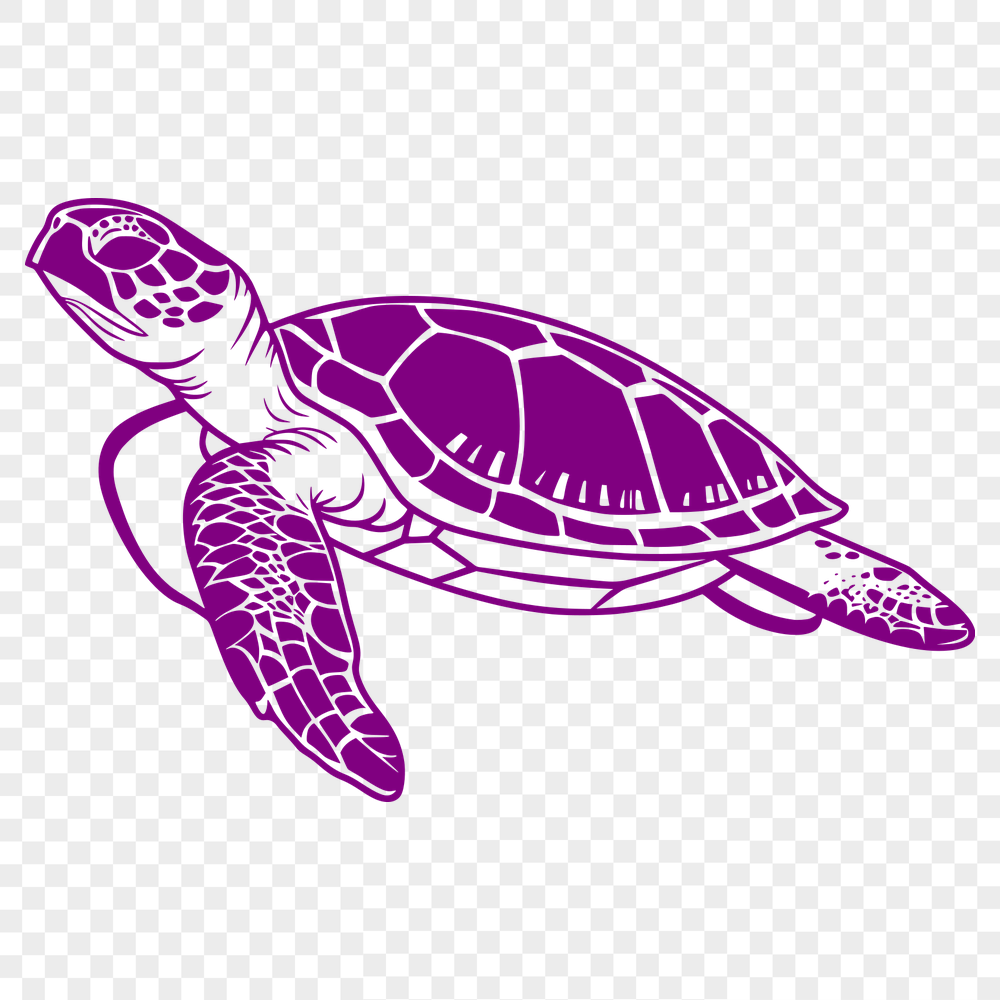 Free Stunning Sea Turtle Illustration