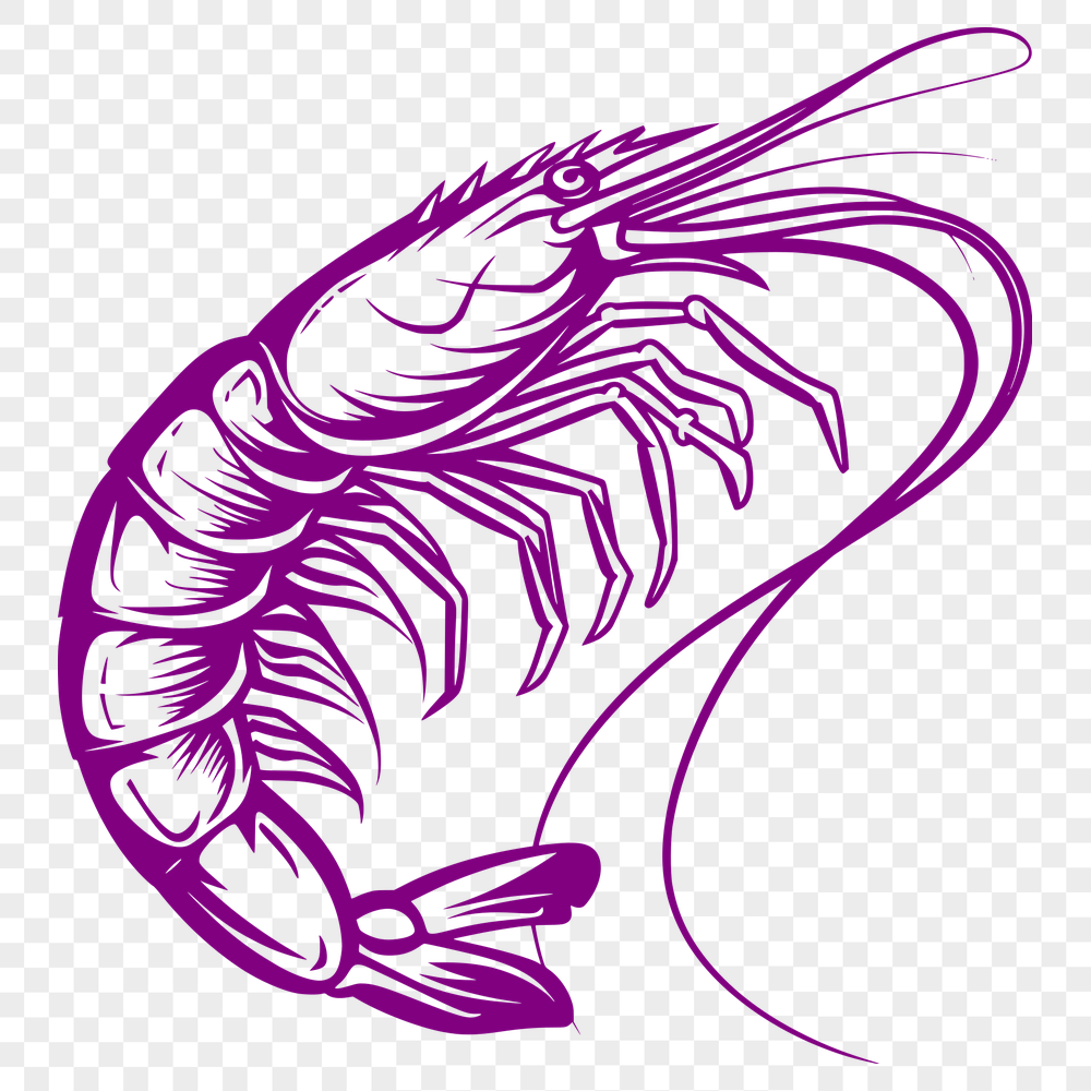 Stunning Prawn - For Glowforge Project