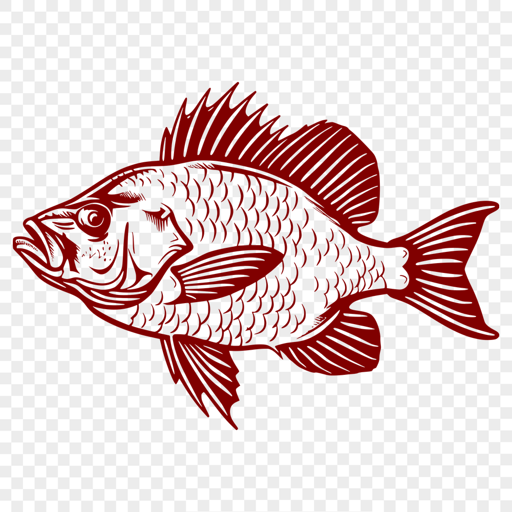 Creative Fish Template