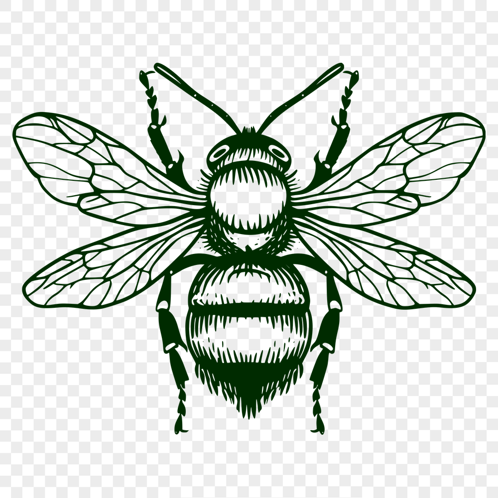 Artistic Bee Clipart