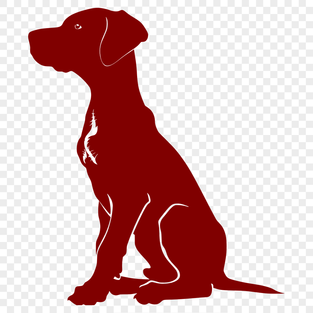 Stunning Sitting Great Dane SVG