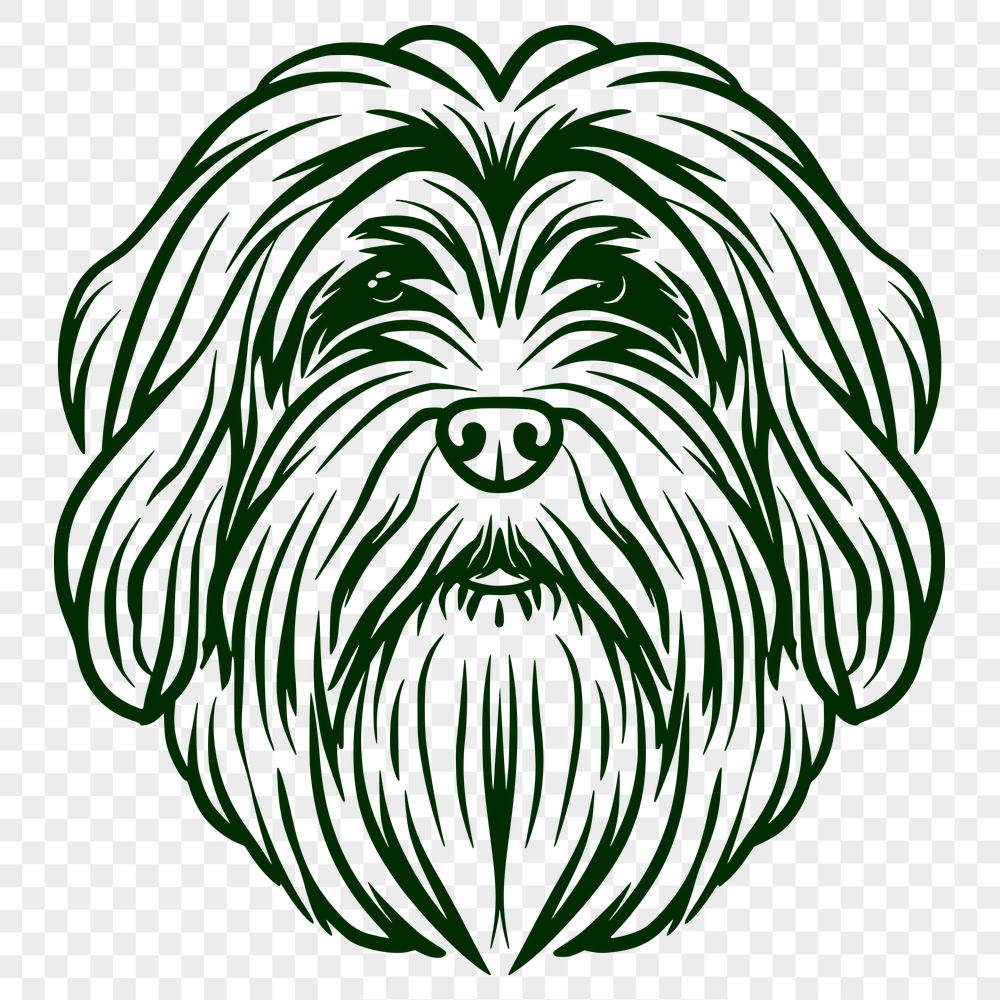 Stunning Havanese Clip Art