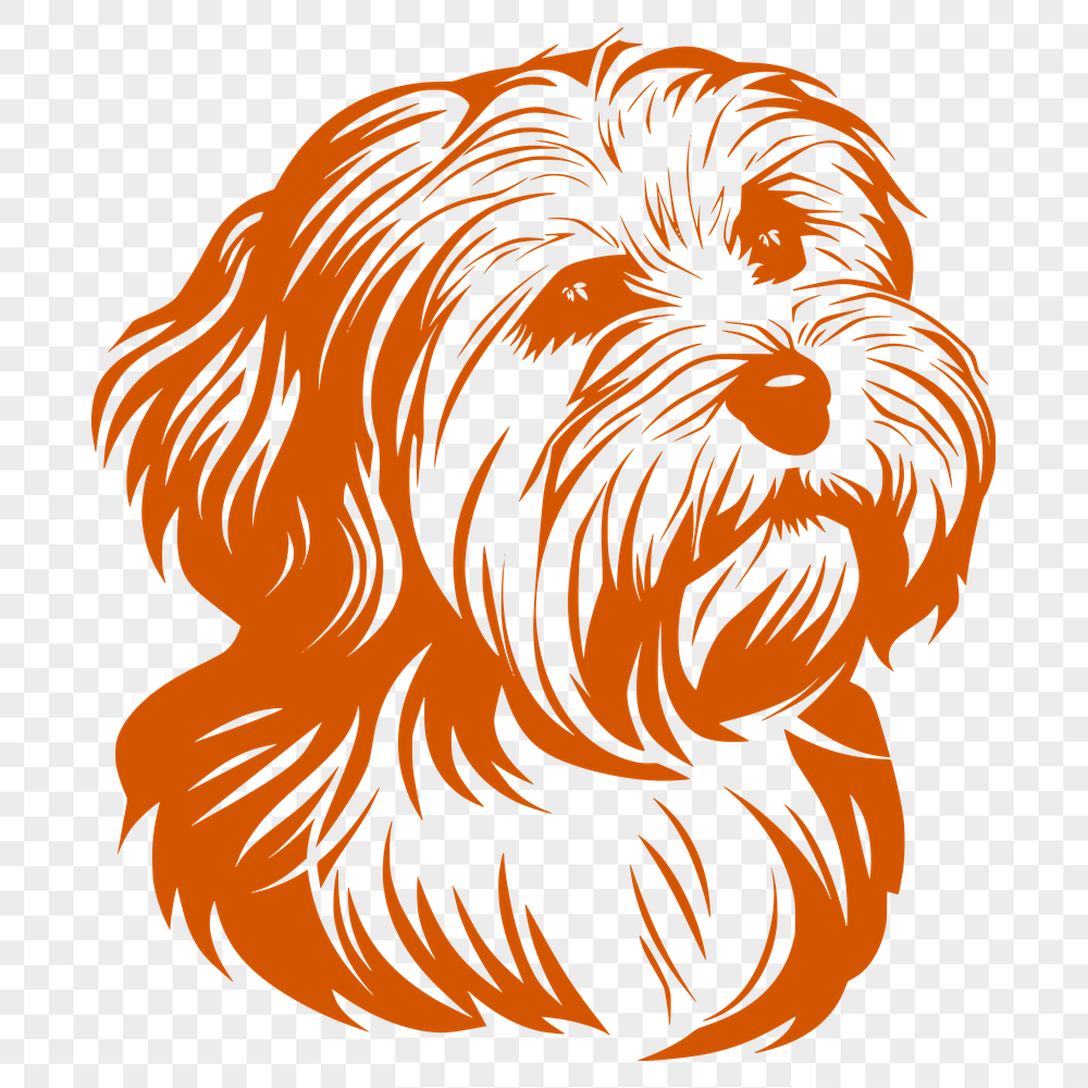 Artistic Havanese Stencil