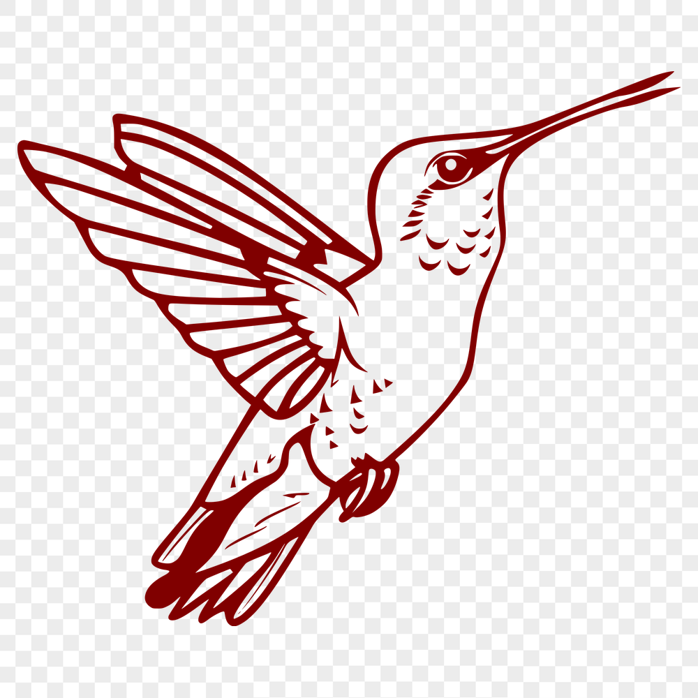 Free Unique Hummingbird Vector Illustration