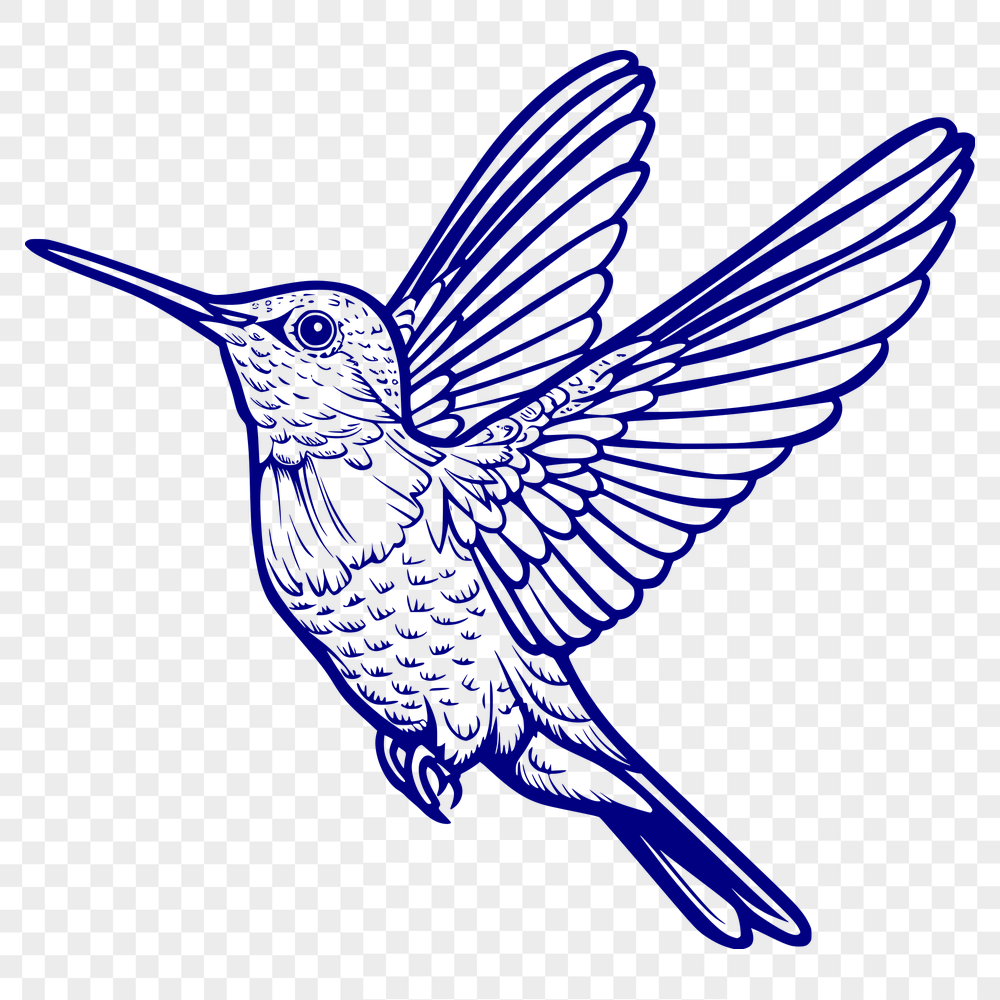 Creative Flying Hummingbird Printable Artwork