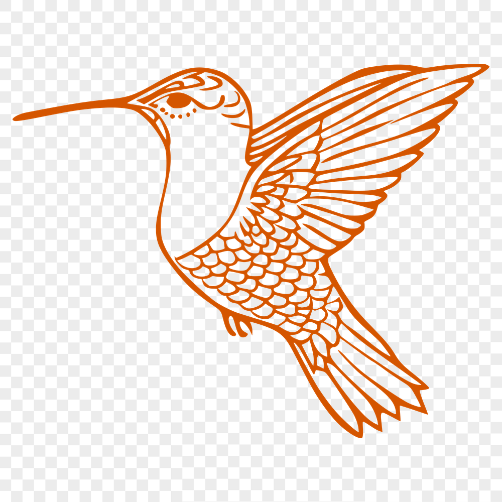 Creative Hummingbird In SVG Format