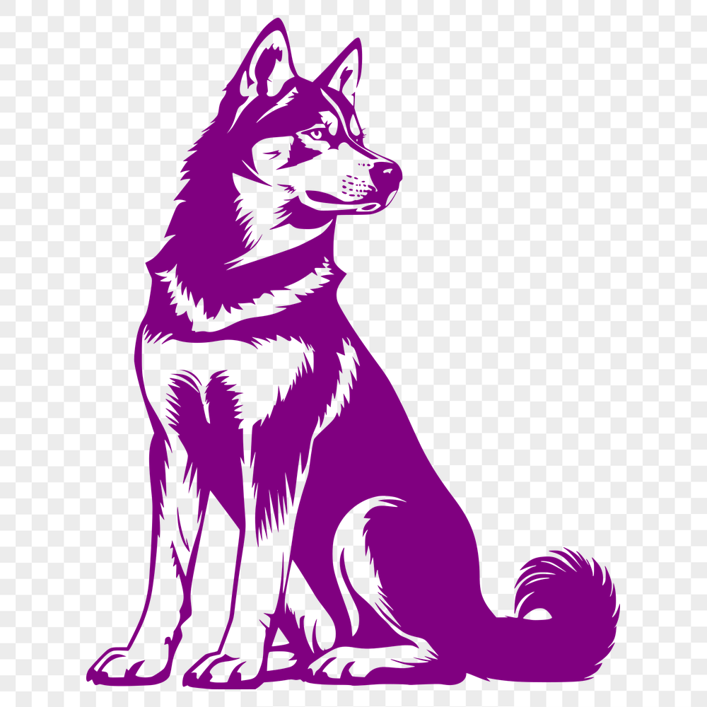 Free Husky Drawing