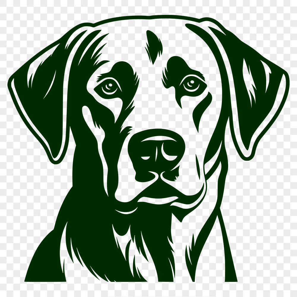 Stunning Labrador Retriever SVG, PNG, PDF And DXF Files