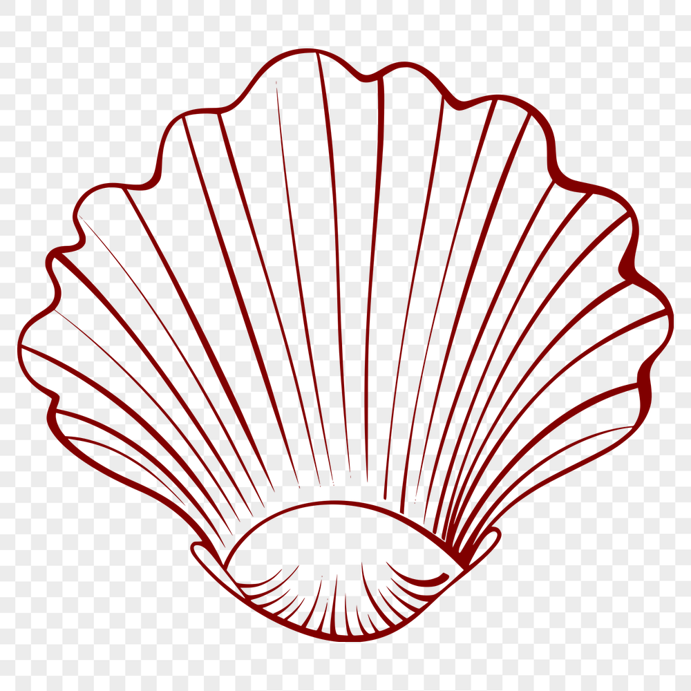 Artistic Seashell Decal - Free PDF Download