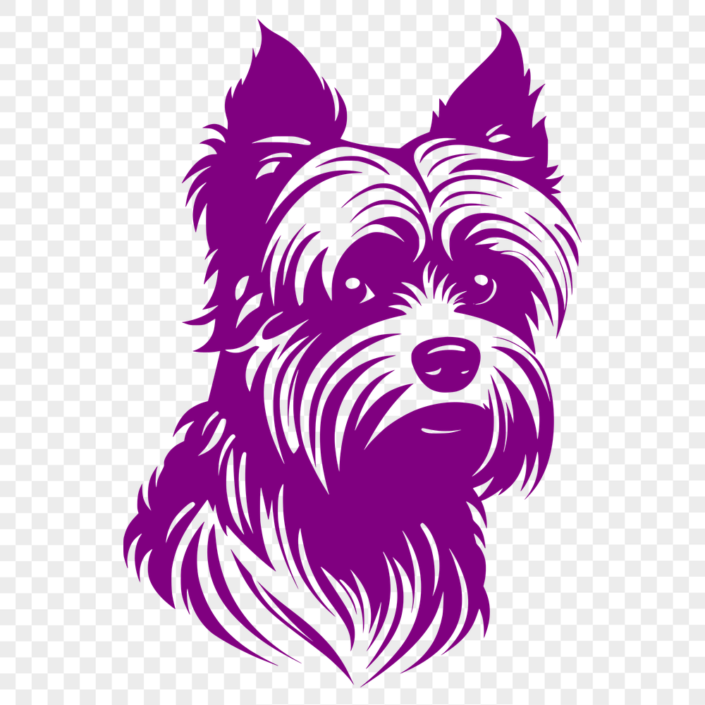 Beautiful Yorkshire Terrier DXF