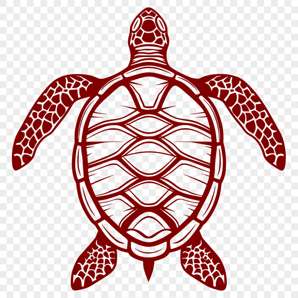 Creative Sea Turtle Vector Illustration