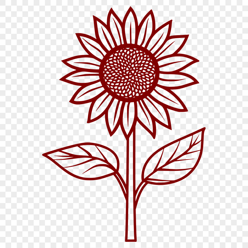 Beautiful Flower - PNG Format