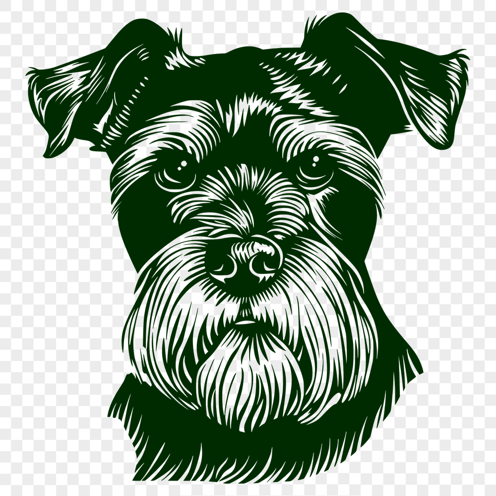 Beautiful Miniature Schnauzer DXF