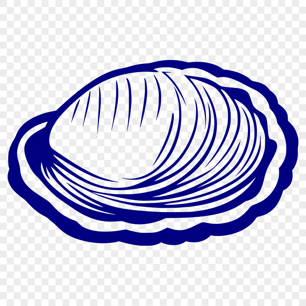 Seashell Printable Artwork In SVG File Format For Free Download