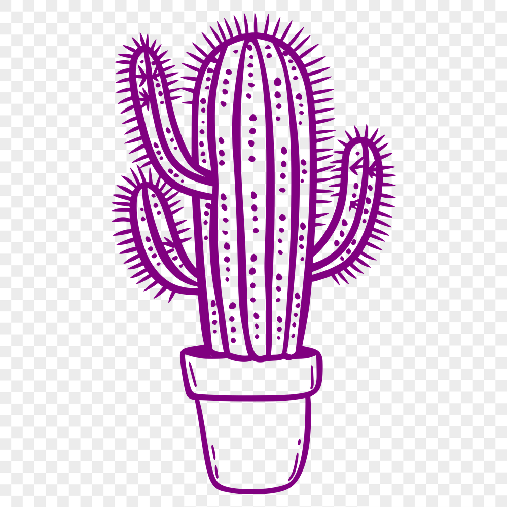 Beautiful Cactus - For Procreate Project