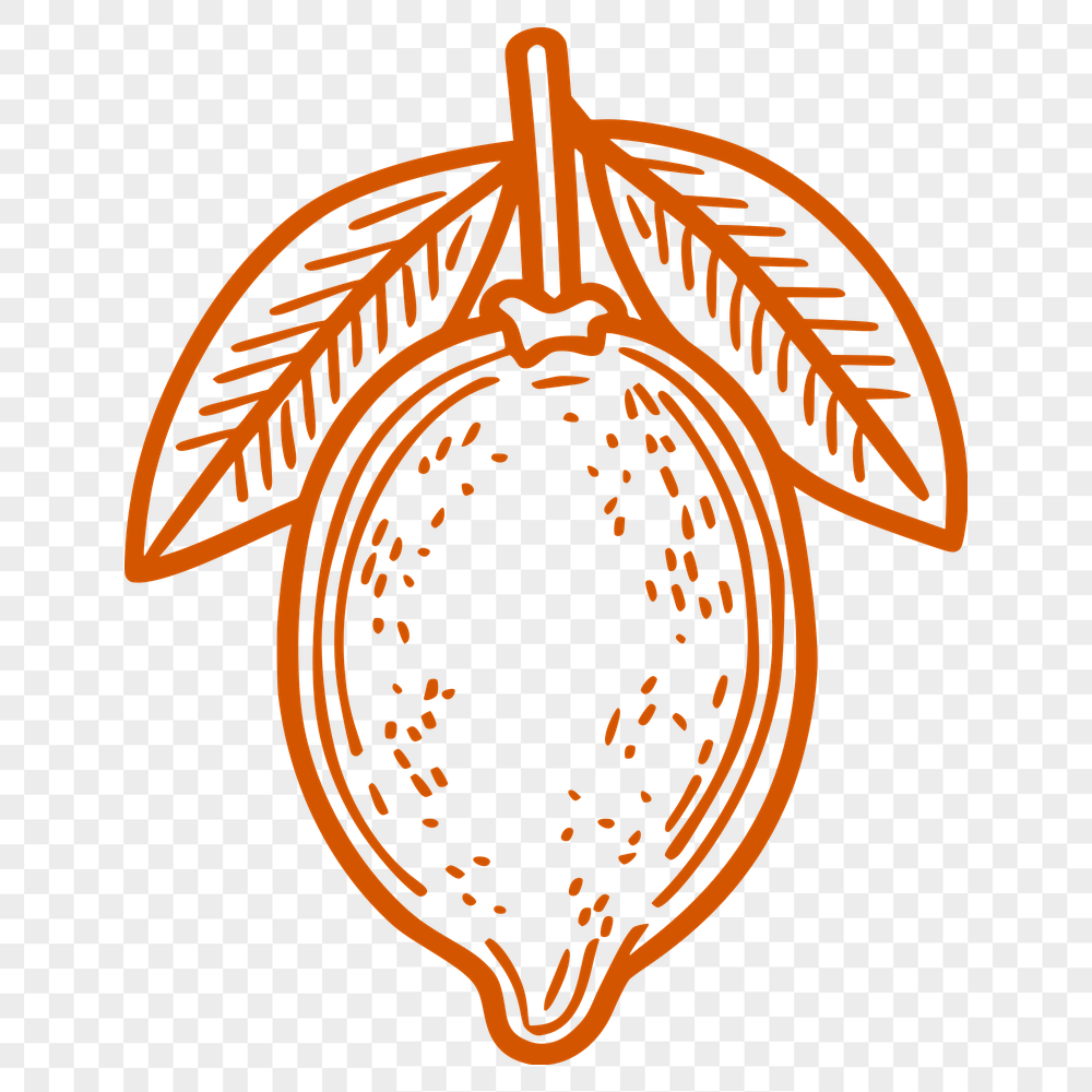 Creative Lemon PNG