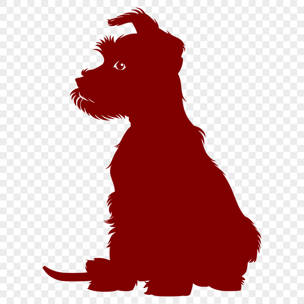 Creative Miniature Schnauzer SVG, PNG, PDF And DXF Files