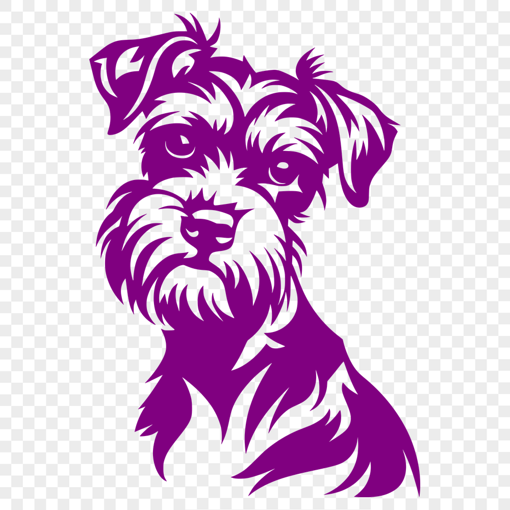 Stunning Miniature Schnauzer PNG