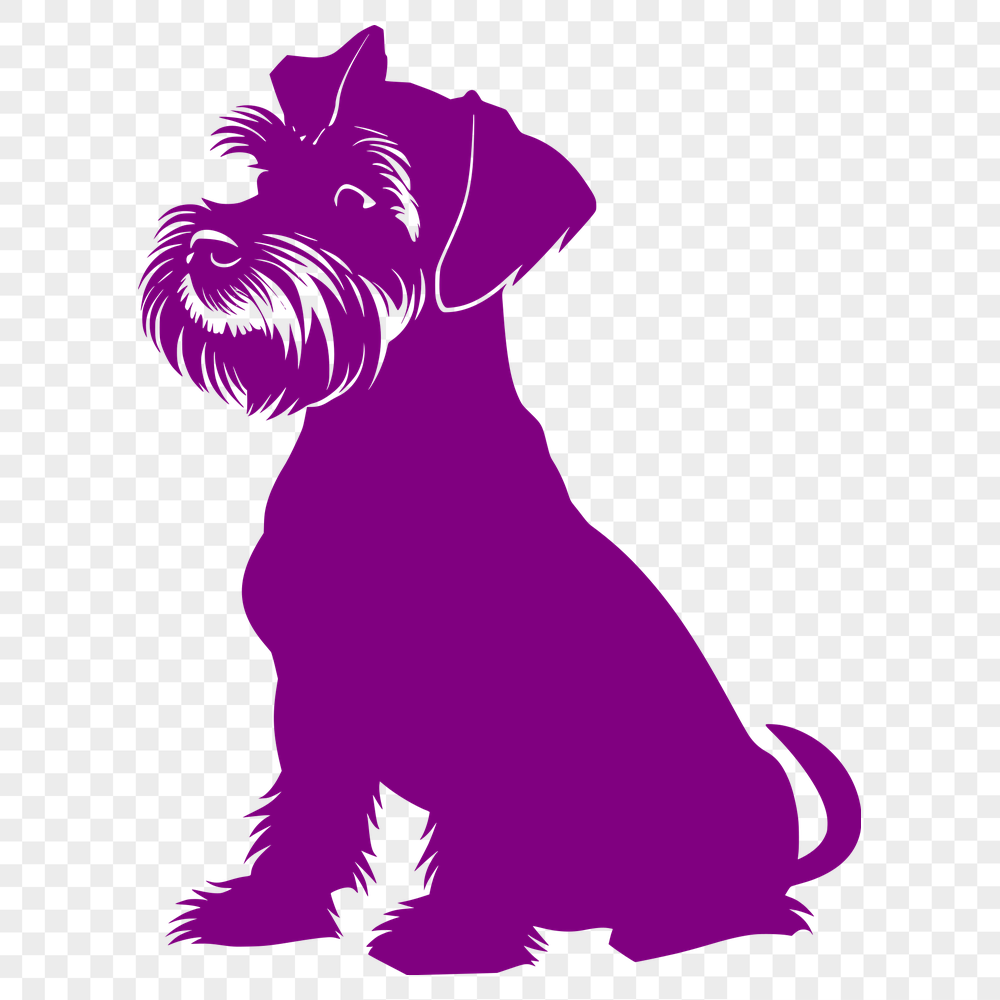 Free Miniature Schnauzer PNG