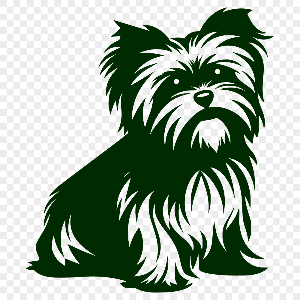 Beautiful Morkie - For Laser Project