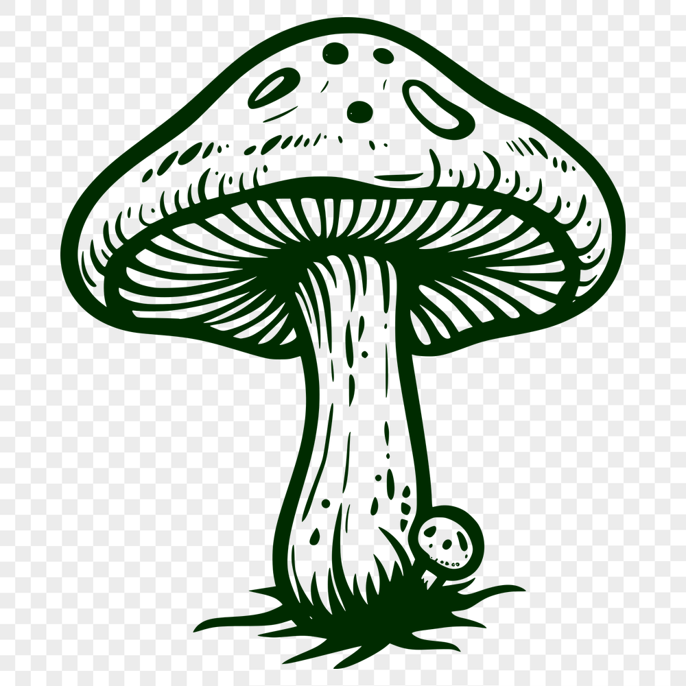 Free Mushroom Vector Art