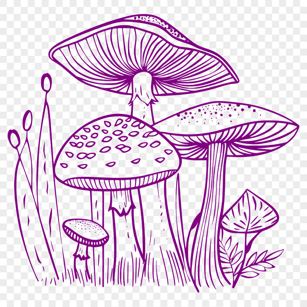 Beautiful Mushroom Stencil